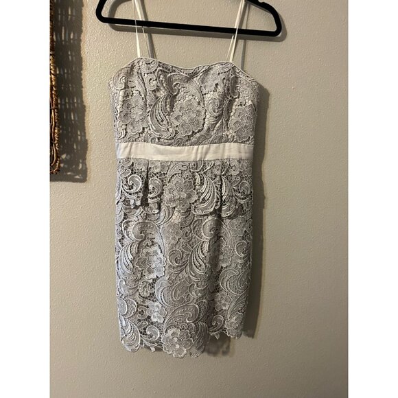 Adrianna Papell Dress 10 Pewter Light Lilac/Gray W Bra Wedding Party Cruise - Picture 10 of 10